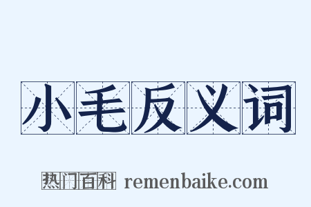 小毛反义词是什么意思的图片